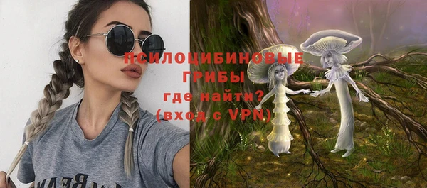 ешки Пересвет