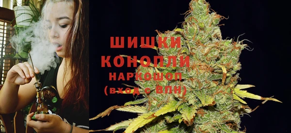 ешки Пересвет