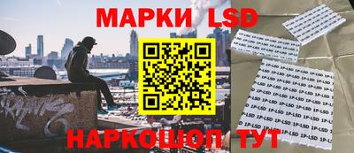 индика Будённовск