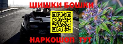 индика Будённовск