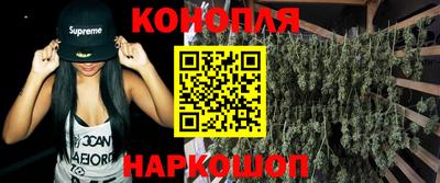индика Будённовск