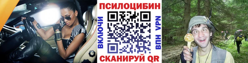хочу   Москва  Псилоцибиновые грибы GOLDEN TEACHER 