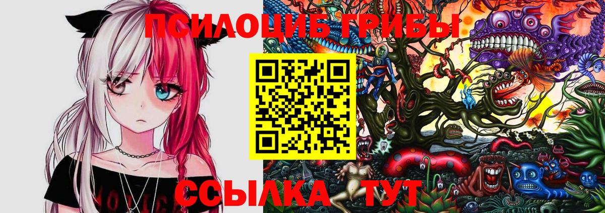 Москва  Галлюциногенные грибы Psilocybine cubensis  Псилоцибиновые грибы мицелий  Вход с VPN 