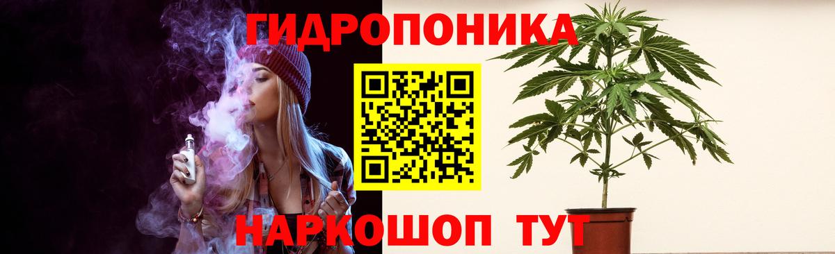 Бошки марихуана SATIVA & INDICA  Бошки Шишки индика  Бошки Шишки гибрид  Бошки марихуана план  Вход с VPN  Москва 